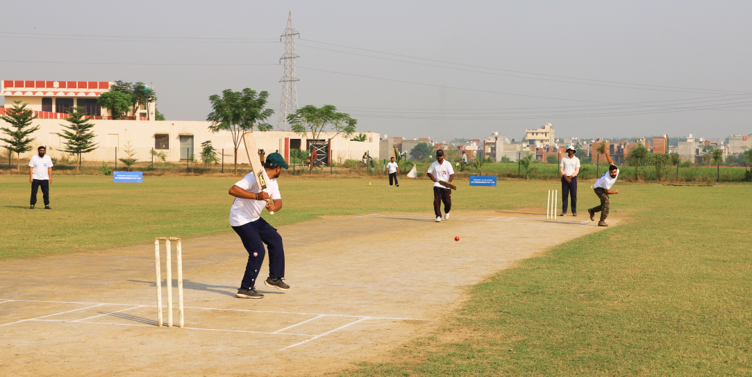 Ln team Cricket playing 