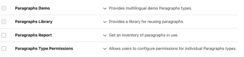 Drupal Paragraphs submodules 