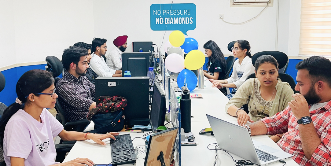 professional LN team