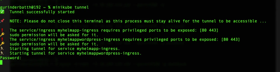 Accessing the Application in a Web Browser