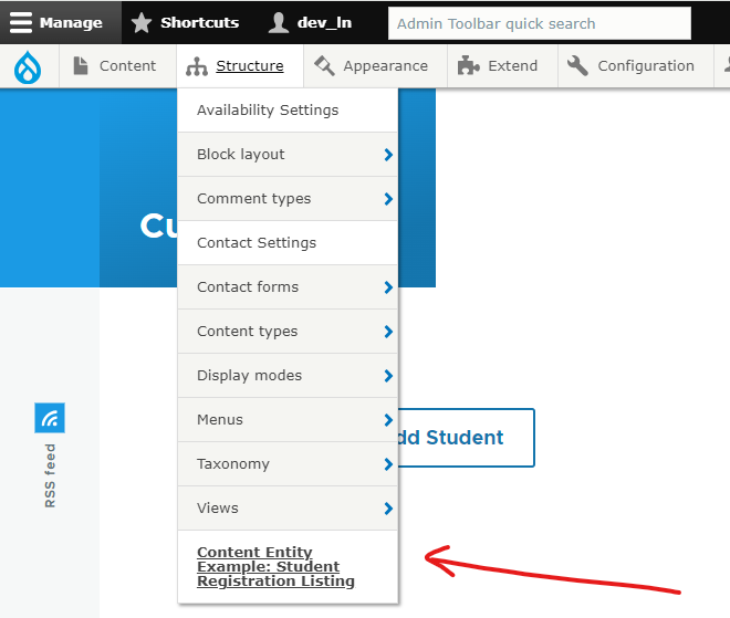 create a Custom Entity