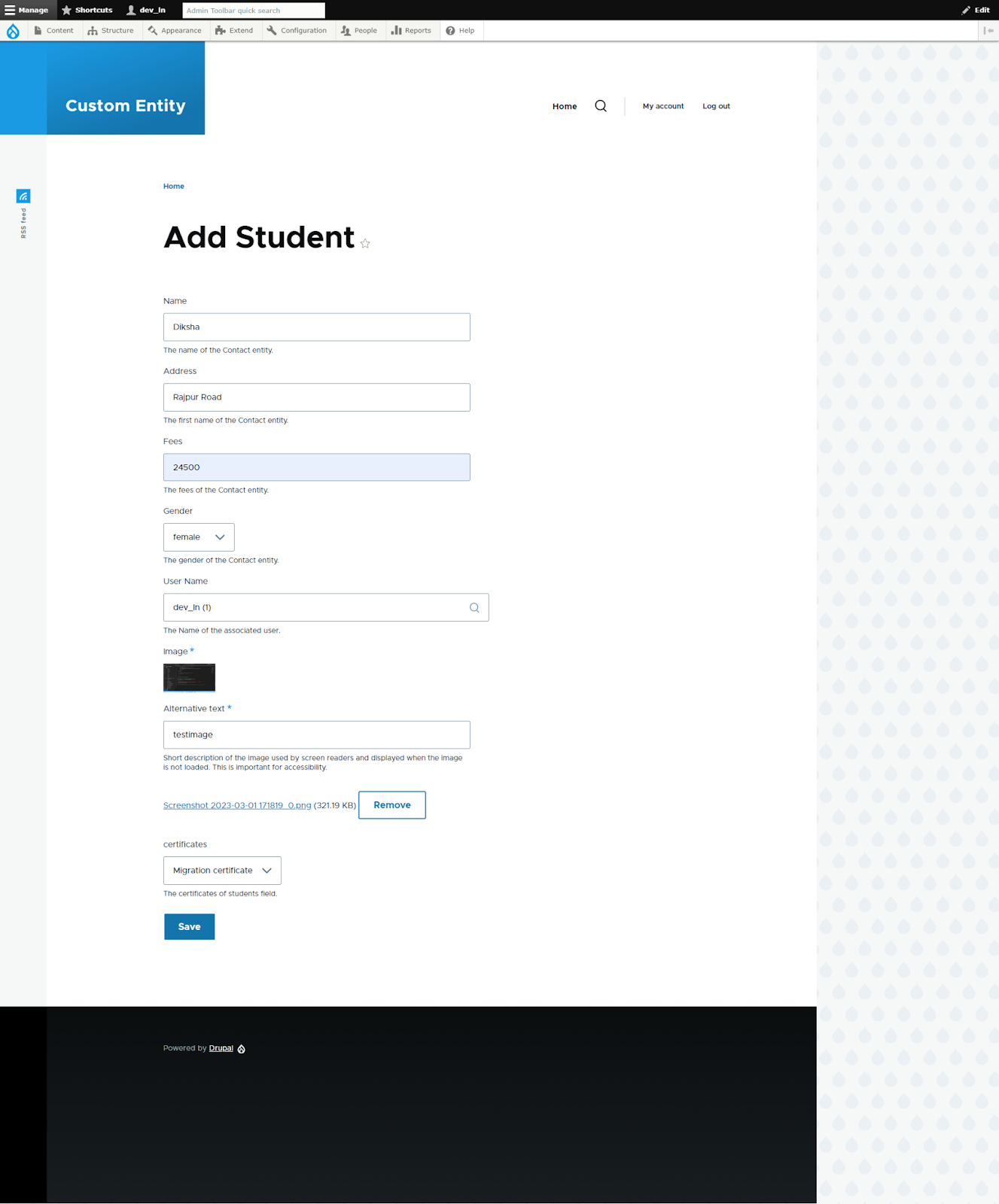 create a Custom Entity