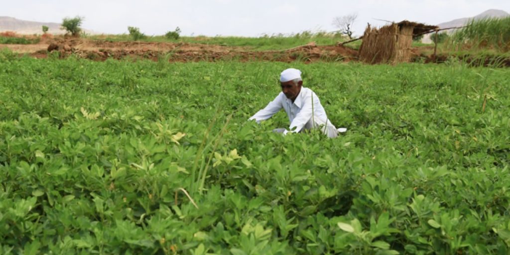 ACG Cares Foundation