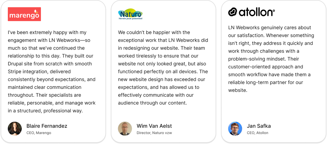 Client testimonial appreciating LN Webworks for website development and responsive UI/UX services 
