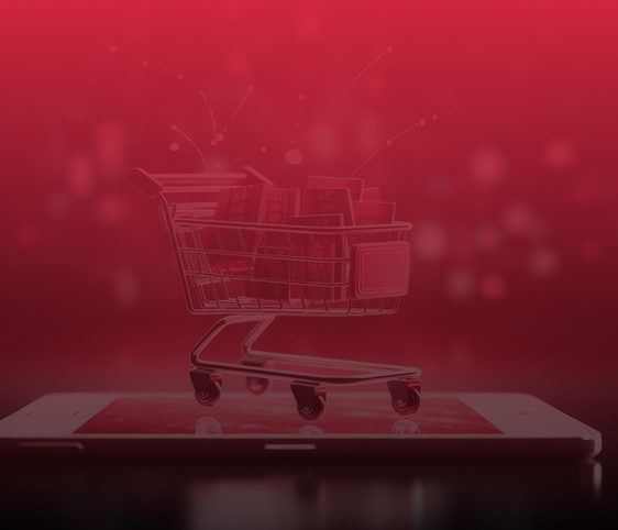 No problem seemed unsolvable. Whenever a standard solution was unavailable, the team developed custom functionality to meet our platform’s requirements.